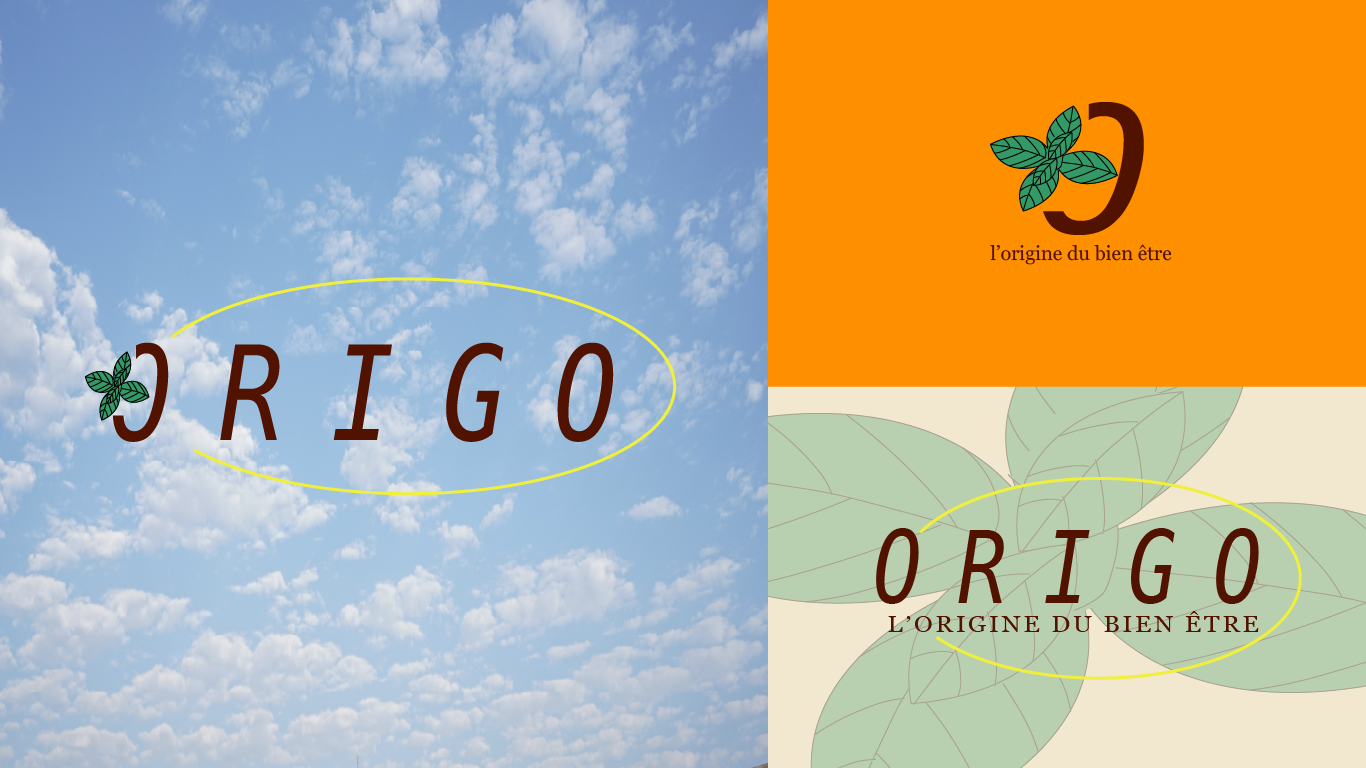 Logo Origo